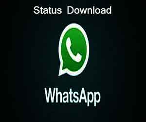 Whatsapp status video download