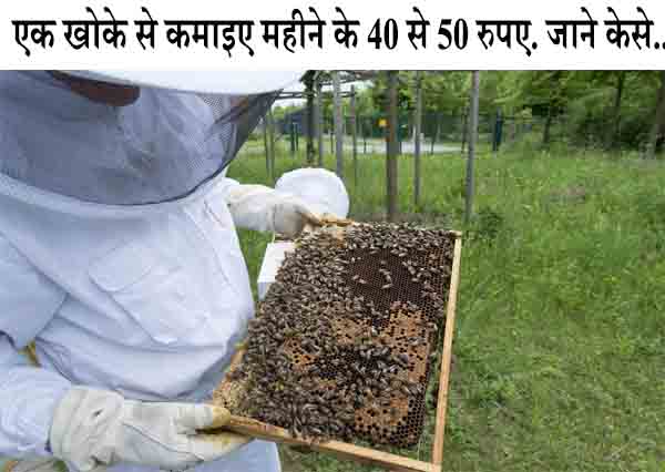 beekeeping business idea in hindi